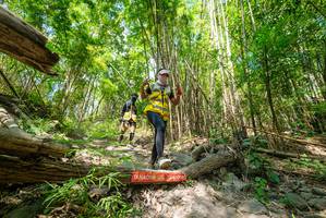 BIB: 
                            <button type="button" onclick="openModal(19394416)" class="btn btn-primary btn-sm float-right btn-popup" data-toggle="modal" data-target=".modal-high-quality">
                        <i class="fas fa-shopping-cart"></i> Add to Cart
                    </button>
                                            <button type="button" onclick="isThisMe(19394416, true)" class="btn btn-success btn-sm float-right btn-popup btn-isme hidden" data-toggle="tooltip" data-placement="bottom" title="นี่คือรูปของคุณใช่ไหม คลิกที่นี่เพื่อเอาเข้าอัลบั้ม">
                        <i class="fas fa-plus"></i> Add to album
                    </button>
                    <button type="button" onclick="isThisMe(19394416, false)" class="btn btn-warning btn-sm float-right btn-popup btn-isnotme hidden">
                        <i class="fas fa-ban"></i> Remove from album
                    </button>